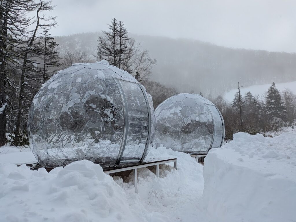 Snow Dome 集めてみました❄️ | 日本で唯一のドーム専門企業