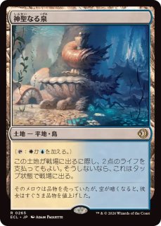 神聖なる泉 - カードラッシュ[MTG]