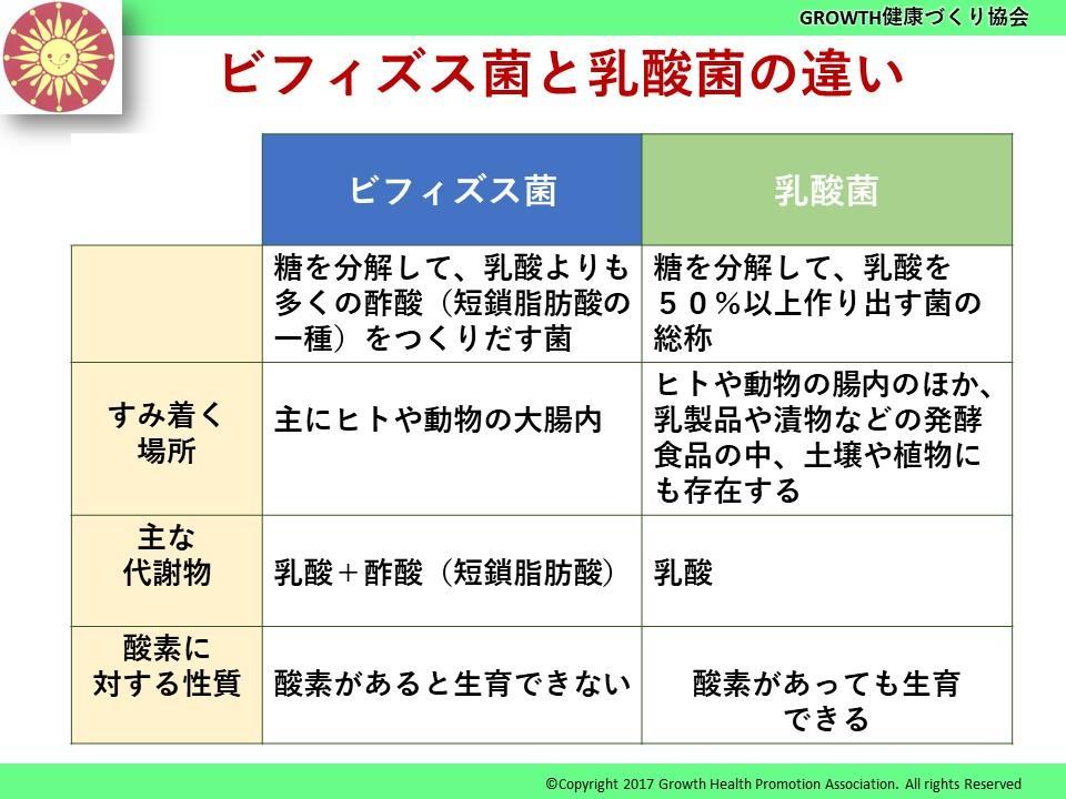 ビフィズス菌が作る酢酸は、腸に良い働きをする （2022.05.26