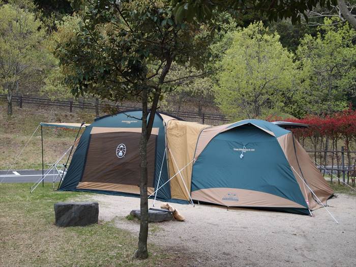 コールマン｜タフワイドドームⅣ300｜Sueさん