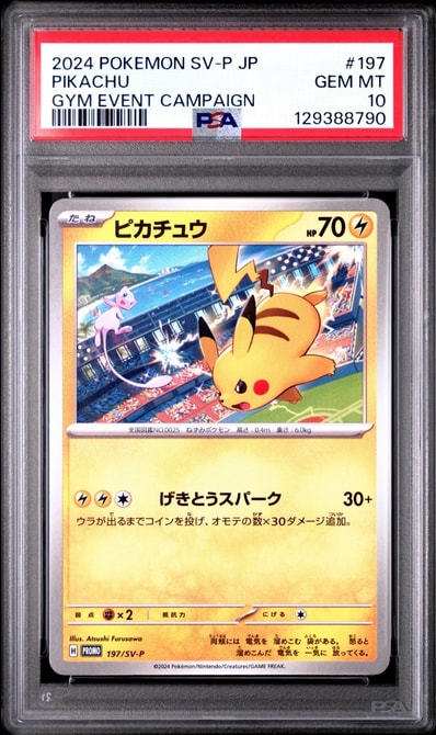 PSA10】ピカチュウ: プロモ[SM-P 224](プロモーションカード「SM-P
