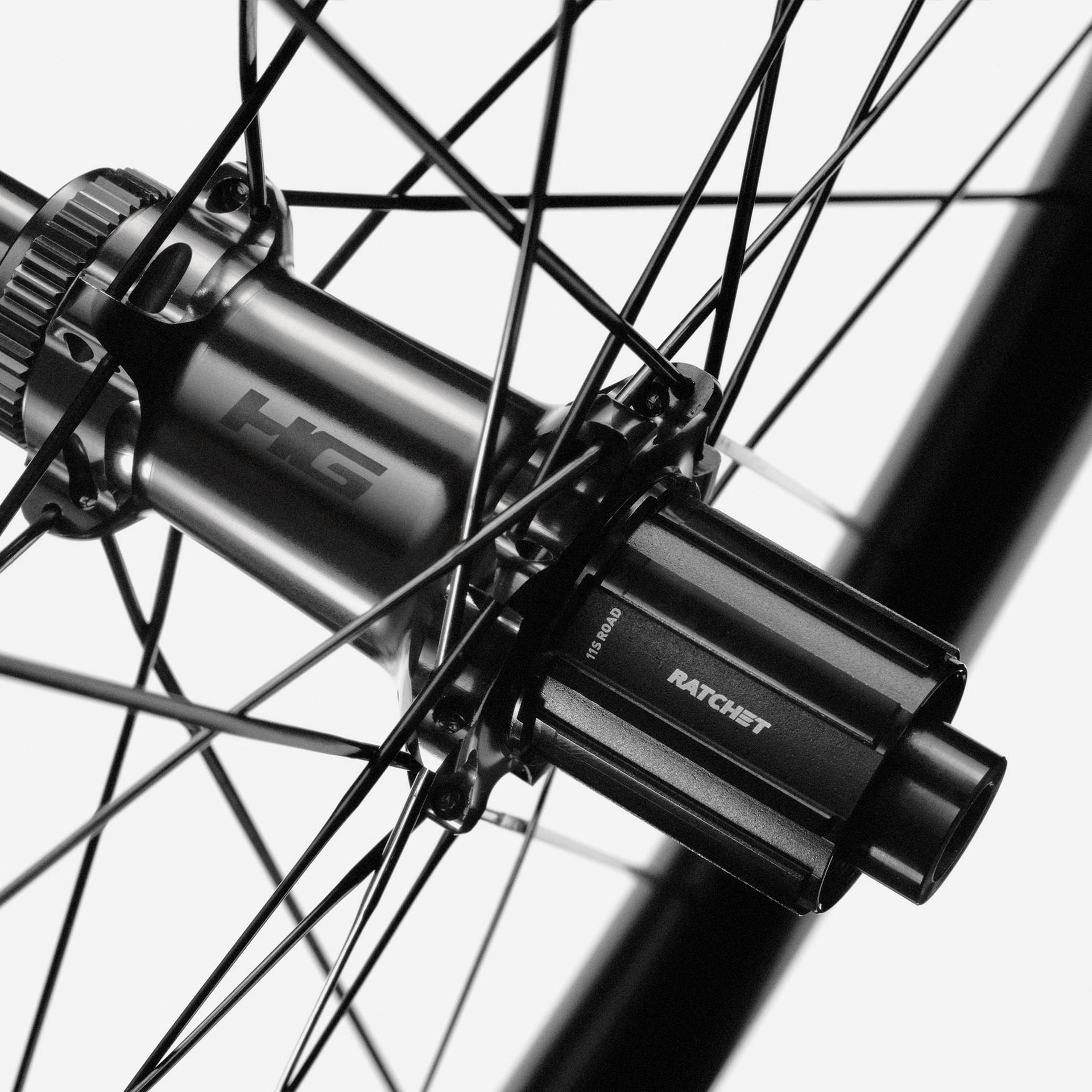 R-SL 50 Shimano Rear Wheel | HollowGram | Cannondale