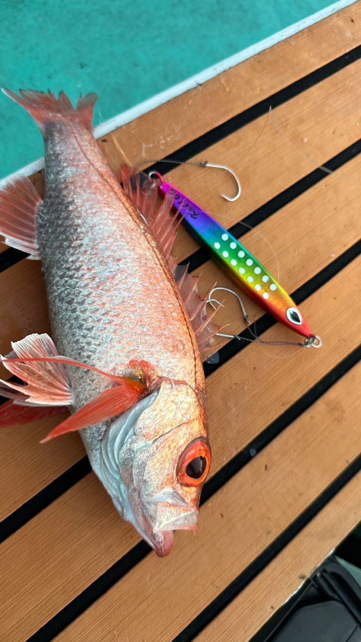 SHIMANO 21オシアジガー リミテッド (ベイト) B62-1の最安値・インプレ