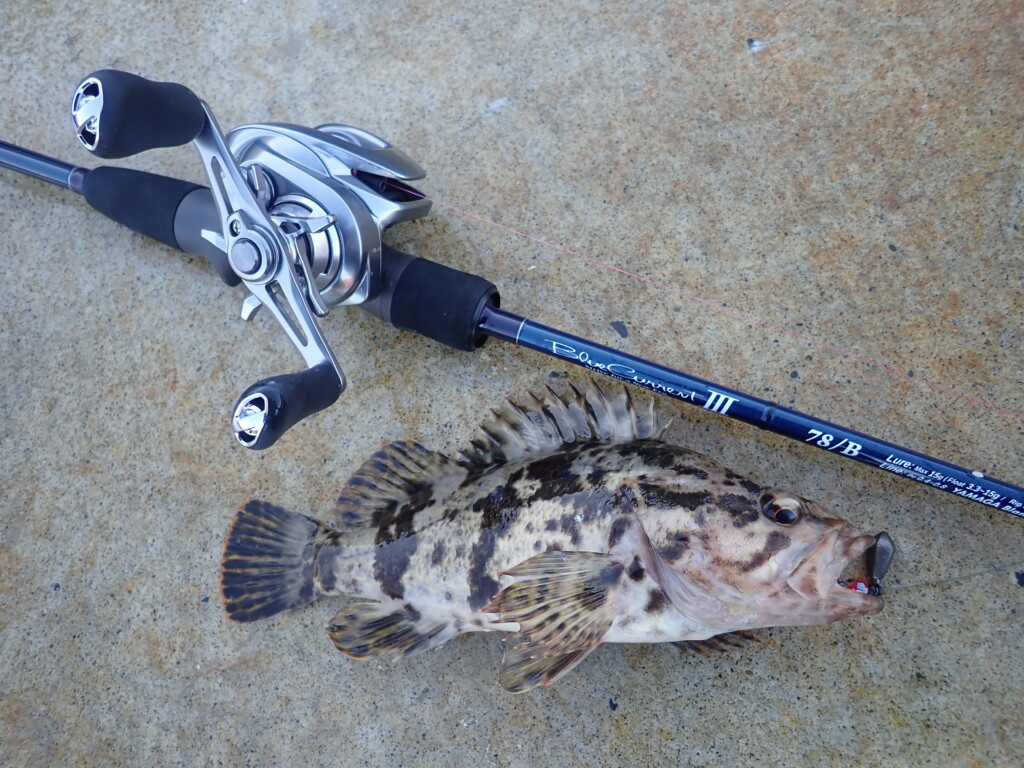 ヤマガの新作「ブルーカレントⅢ78＆78/B」でロックフィッシュを楽しむ