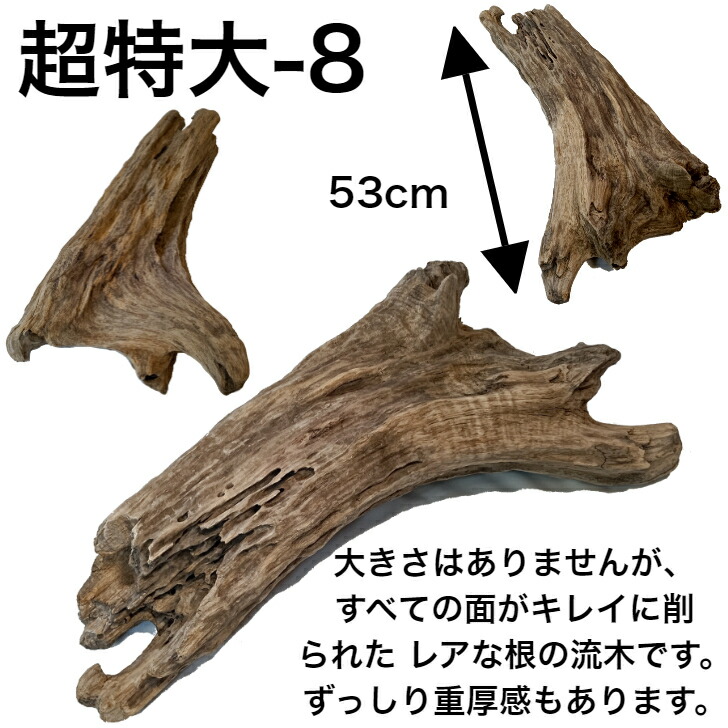 楽天市場】大型 流木/特大 流木 超特大 置物 玄関 木 インテリア 店舗