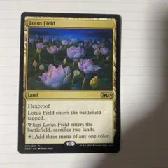 2026年最新】睡蓮の原野の人気アイテム - メルカリ