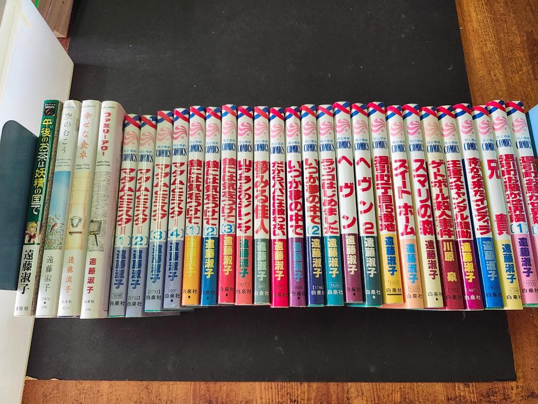 「ヘヴン」「マダムとミスター」など、遠藤淑子作品30冊 51TxXVUHfaL._AC_UF350,