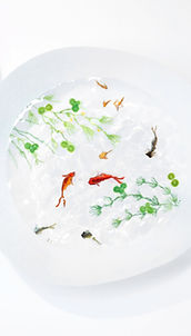 Sophora（ソフォラ） | ギャラリー | 京都 二条寺町 | 日本